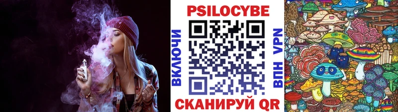 маркетплейс Telegram  где продают   Кодинск  Псилоцибиновые грибы MAGIC MUSHROOMS 